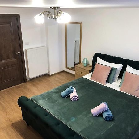 Ultra Central Apartment, Free Parking Oradea - Stray Cats ภายนอก รูปภาพ