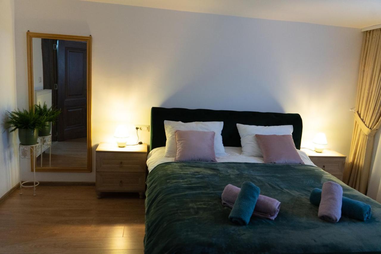 Ultra Central Apartment, Free Parking Oradea - Stray Cats ภายนอก รูปภาพ