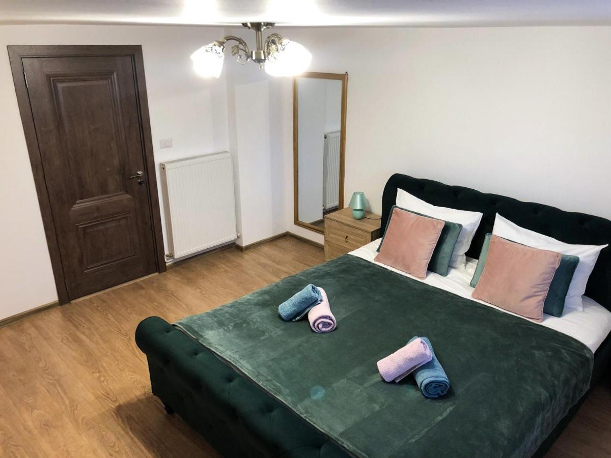 Ultra Central Apartment, Free Parking Oradea - Stray Cats ภายนอก รูปภาพ